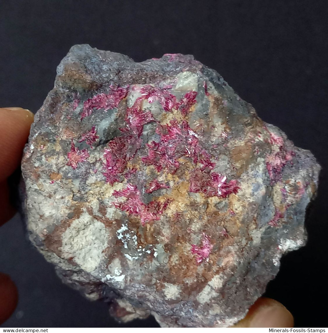 #B47 Schöne ERYTHRIT Kristalle (Bou Azzer Mine, Marokko) - Minerals