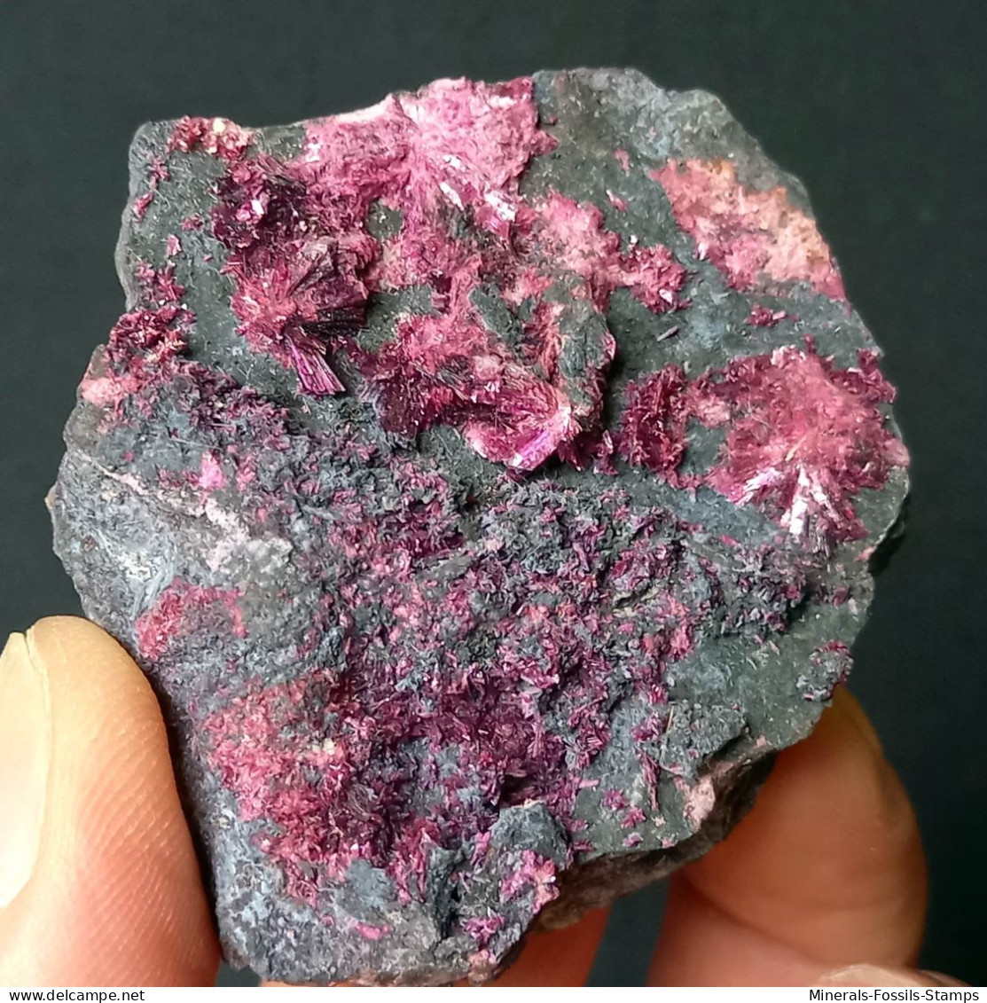 #B47 Schöne ERYTHRIT Kristalle (Bou Azzer Mine, Marokko) - Minerals