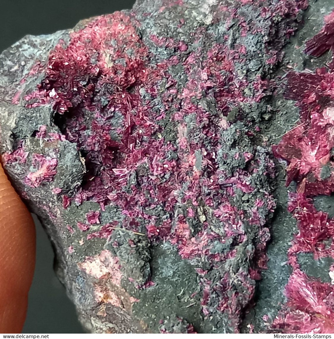 #B47 Schöne ERYTHRIT Kristalle (Bou Azzer Mine, Marokko) - Minerali