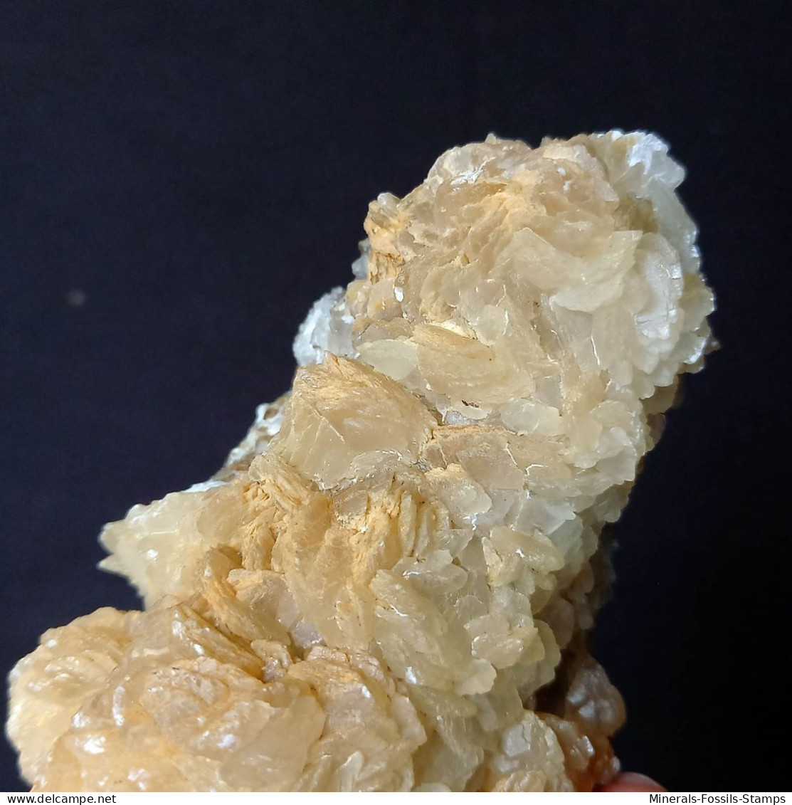 #B48 Schöne ungewöhnliche CALCIT Lamellenkristalle (Cava Muradu, Osilo, Sassari, Sardinien, Italien)