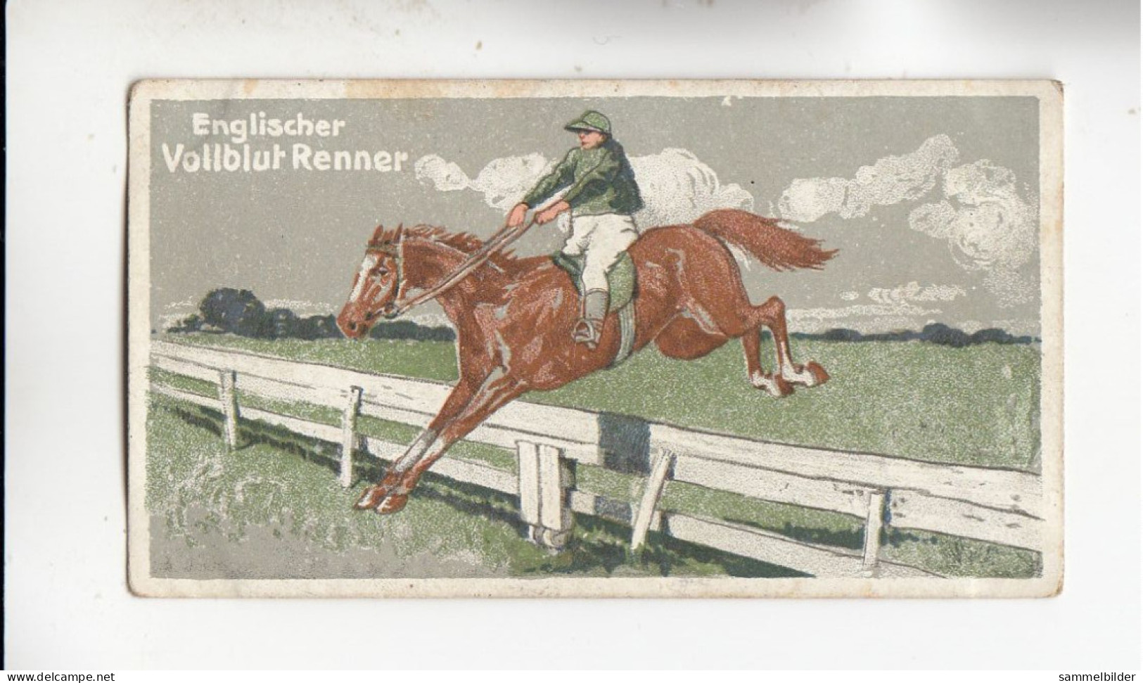 Actien Gesellschaft  Pferde Rassen Engl Vollblut Renner     Serie  67 #2 Von 1900 - Stollwerck