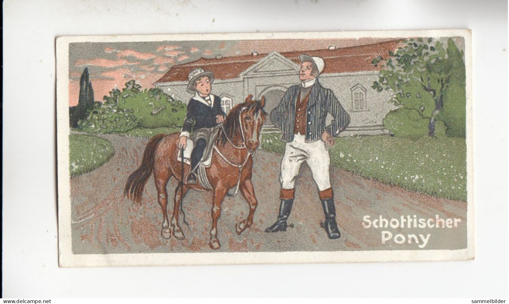 Actien Gesellschaft  Pferde Rassen Schottischer Pony      Serie  67 #3 Von 1900 - Stollwerck