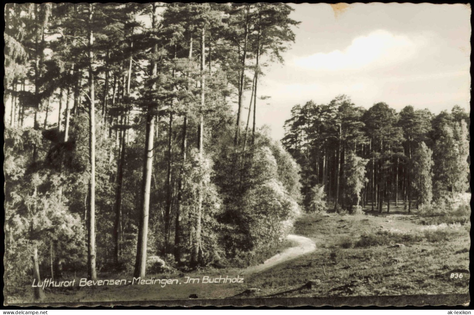 Ansichtskarte Bad Bevensen Medingen - Im Buchholz 1970 - Bad Bevensen