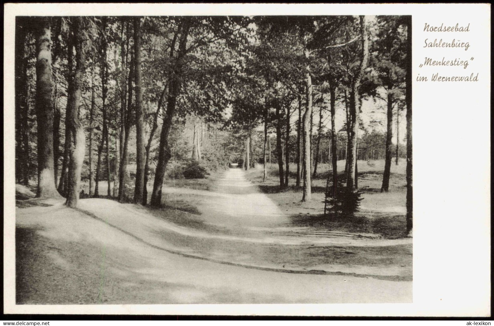 Ansichtskarte Sahlenburg-Cuxhaven Im Wernerwald „Menkestieg" 1953 - Cuxhaven