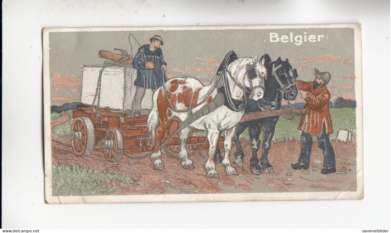 Actien Gesellschaft  Pferde Rassen Belgier       Serie  67 #5 Von 1900 - Stollwerck