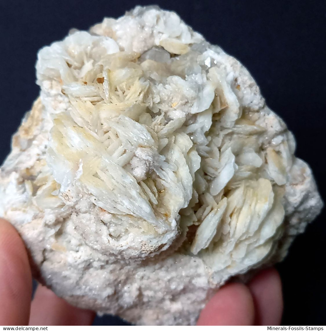 #B50 Schöne BARYT Lamellenkristalle (Barega-Mine, Iglesias, Iglesias-Carbonia, Sardinien, Italien) - Mineralien