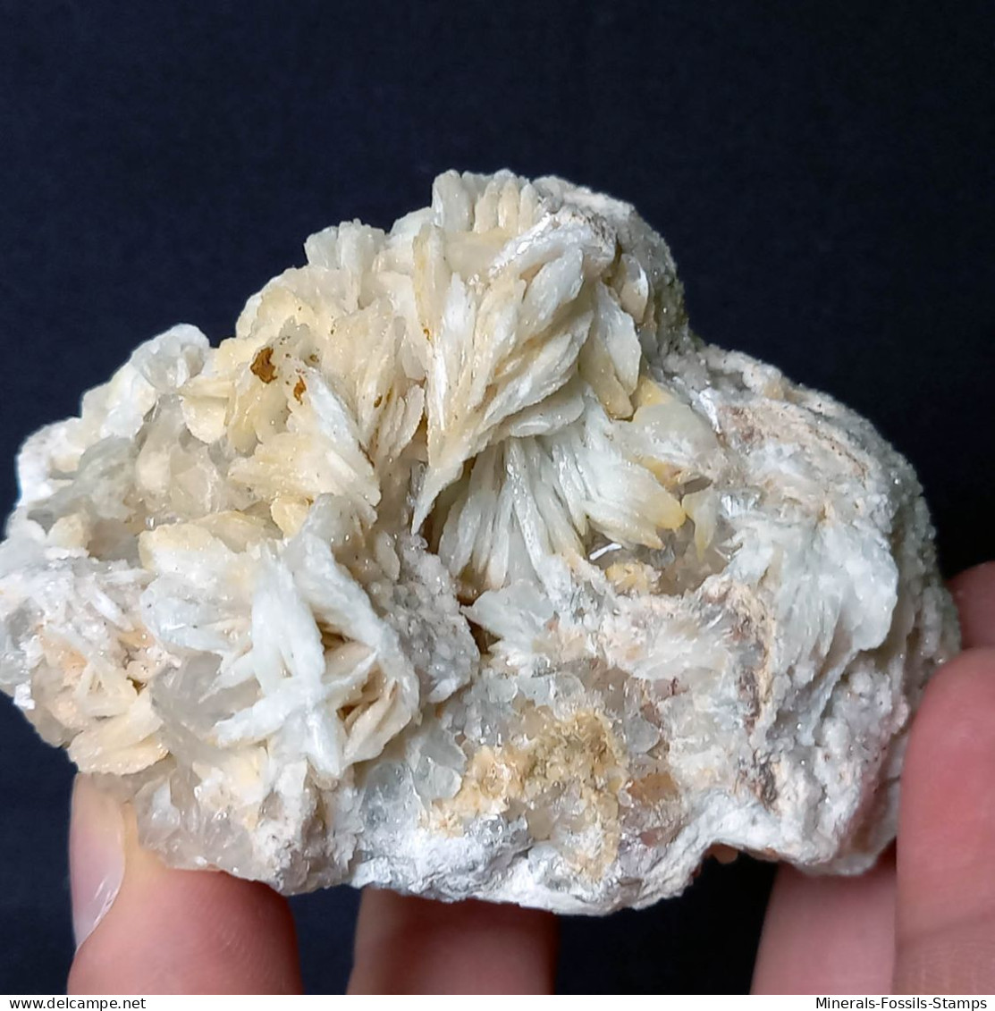 #B50 Schöne BARYT Lamellenkristalle (Barega-Mine, Iglesias, Iglesias-Carbonia, Sardinien, Italien) - Mineralen