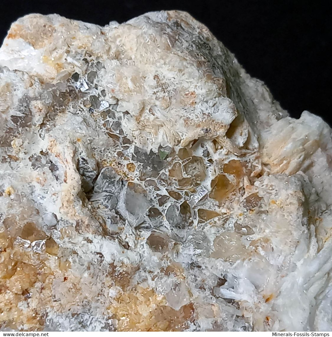 #B50 Schöne BARYT Lamellenkristalle (Barega-Mine, Iglesias, Iglesias-Carbonia, Sardinien, Italien)