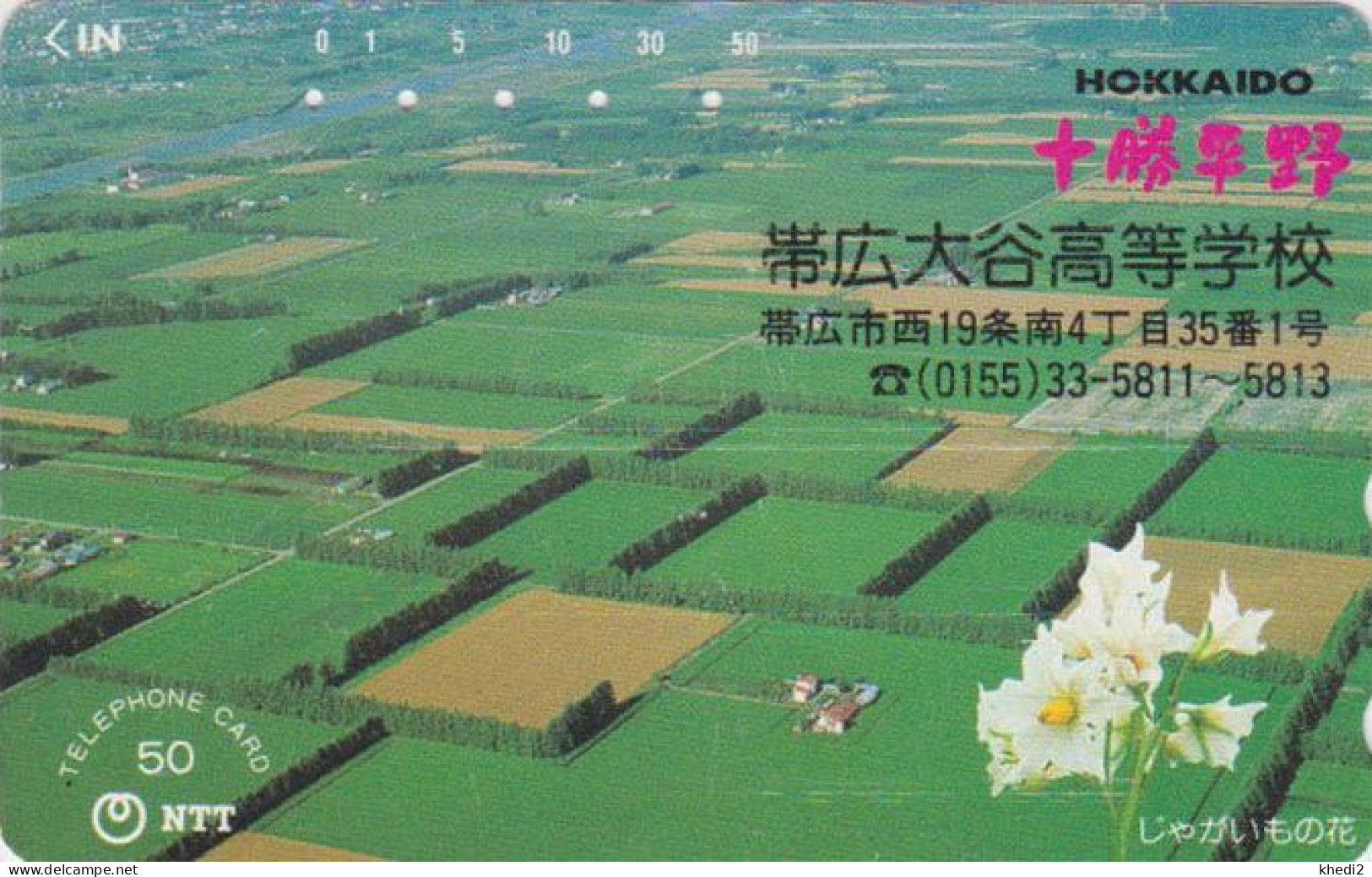 RARE Télécarte JAPON / NTT 430-272 B ** AVEC SURCHARGE ** - Paysage Hokkaido - OVERPRINT JAPAN Phonecard - Japan