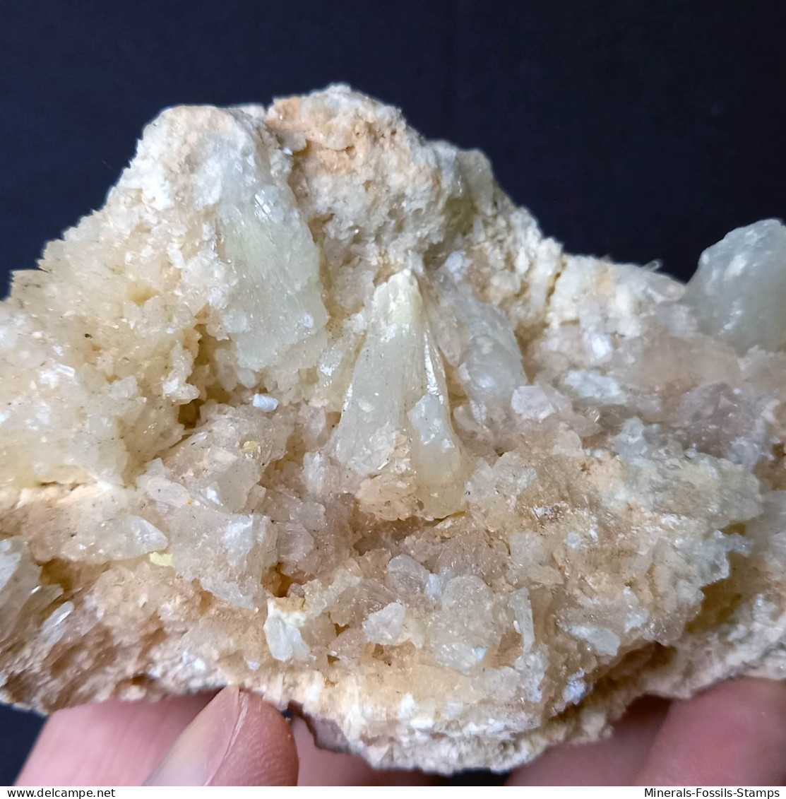 #B51 COELESTIN Kristalle (Grottacalda Mine, Enna, Sizilien, Italien)
