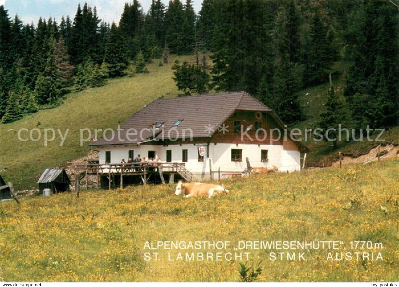 73752616 Lambrecht Steiermark Sankt Alpengasthof Dreiwiesenhuette Aussenansicht  - Other & Unclassified