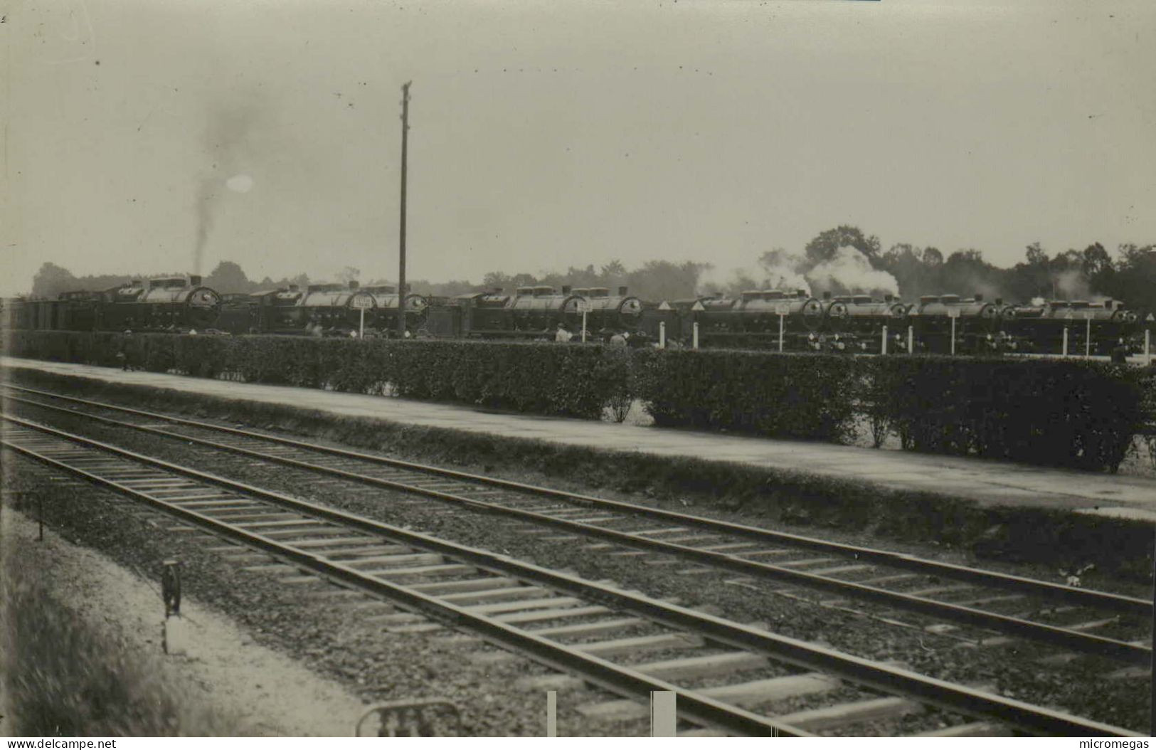 Reproduction - Chantilly - Gare Des Courses - Trains