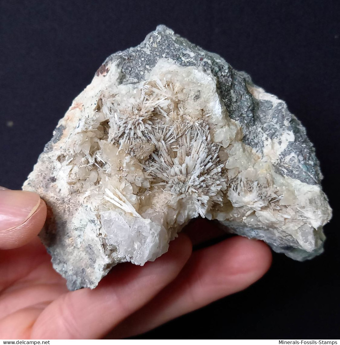 #C38 Schöne Seltene LAUMONTIT Kristalle (Cava Muradu, Osilo, Sassari, Sardinien, Italien) - Minerales