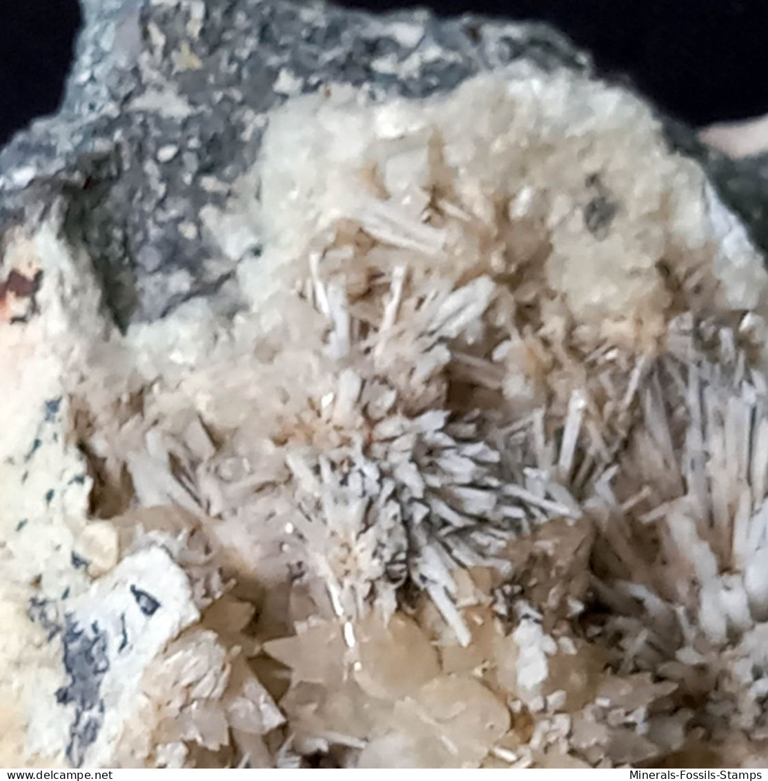 #C38 Schöne seltene LAUMONTIT Kristalle (Cava Muradu, Osilo, Sassari, Sardinien, Italien)