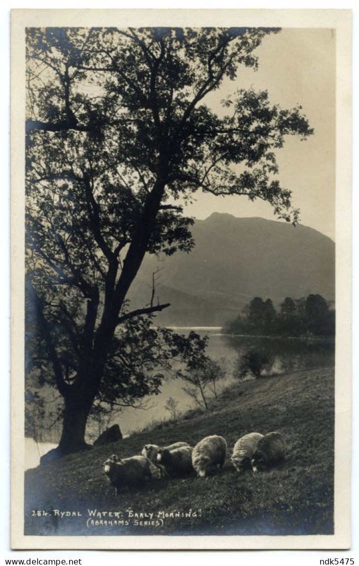 RYDAL WATER - EARLY MORNING (FLOCK OF SHEEP) (ABRAHAMS SERIES) - Sonstige & Ohne Zuordnung