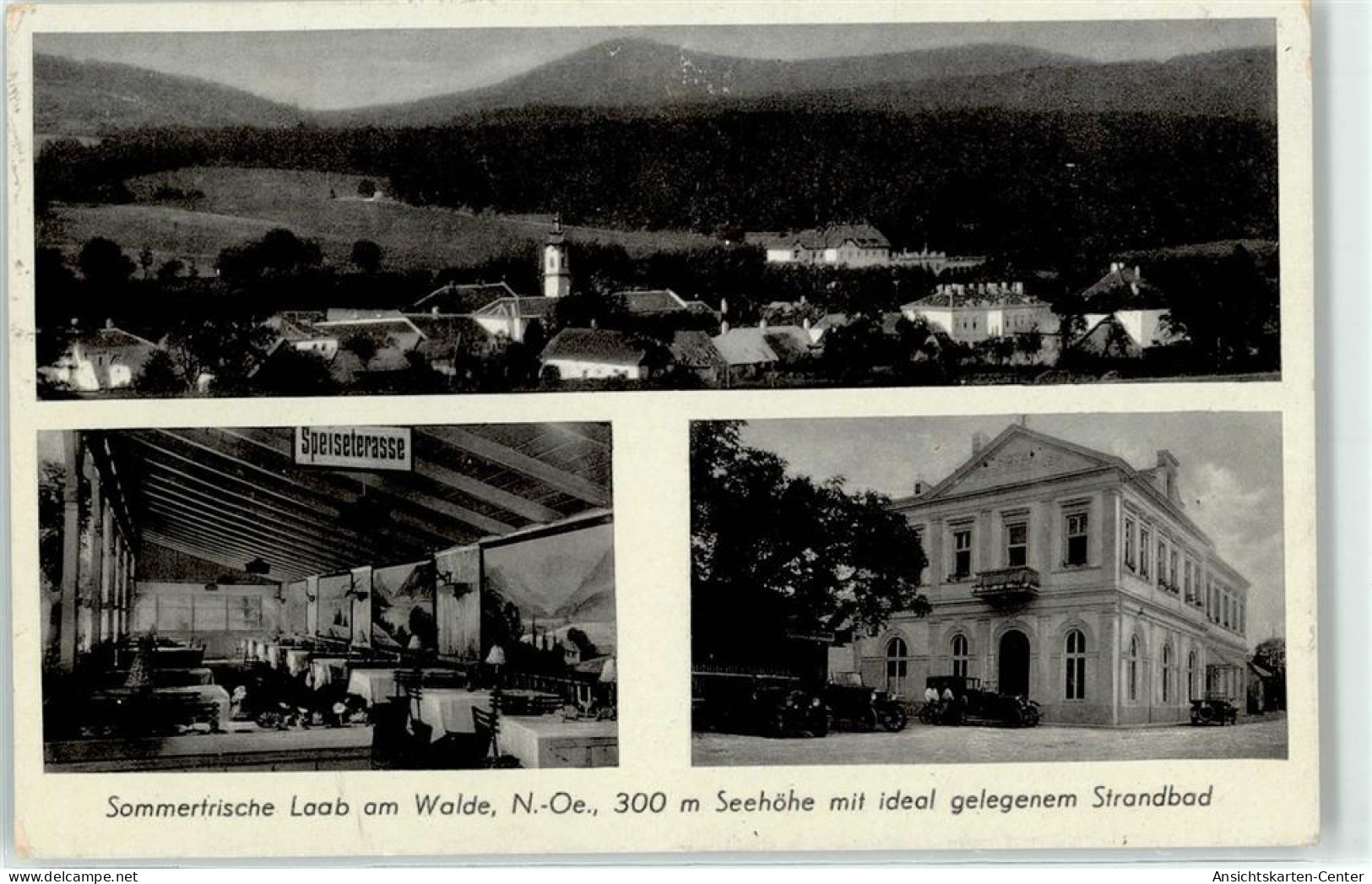 51673705 - Laab Im Walde - Altri & Non Classificati