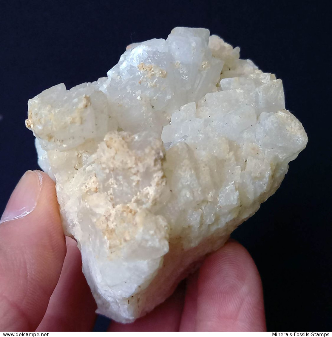 #C39 COELESTIN Kristalle (Muculufa-Mine, Butera, Caltanissetta, Sizilien, Italien) - Mineralien