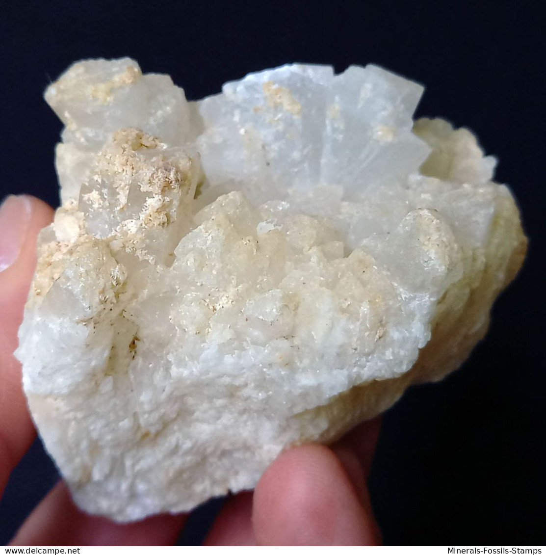 #C39 COELESTIN Kristalle (Muculufa-Mine, Butera, Caltanissetta, Sizilien, Italien) - Minerales