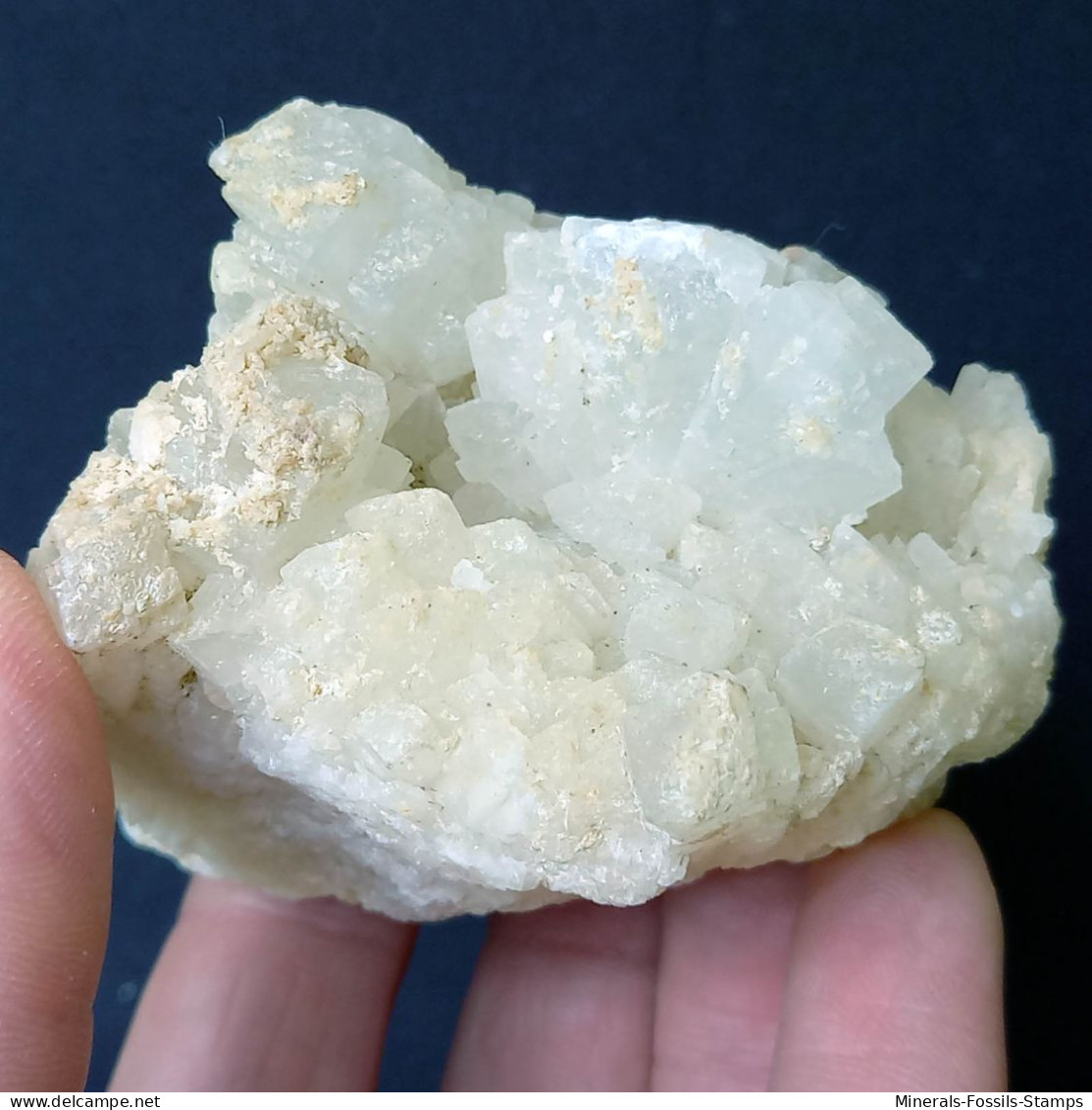 #C39 COELESTIN Kristalle (Muculufa-Mine, Butera, Caltanissetta, Sizilien, Italien) - Minerales