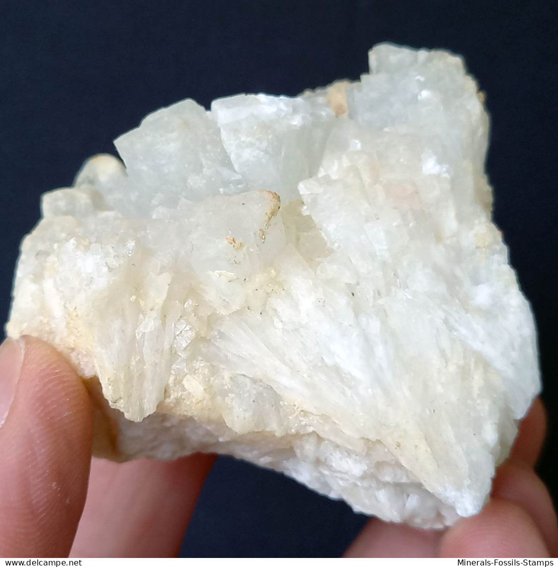 #C39 COELESTIN Kristalle (Muculufa-Mine, Butera, Caltanissetta, Sizilien, Italien) - Mineralen