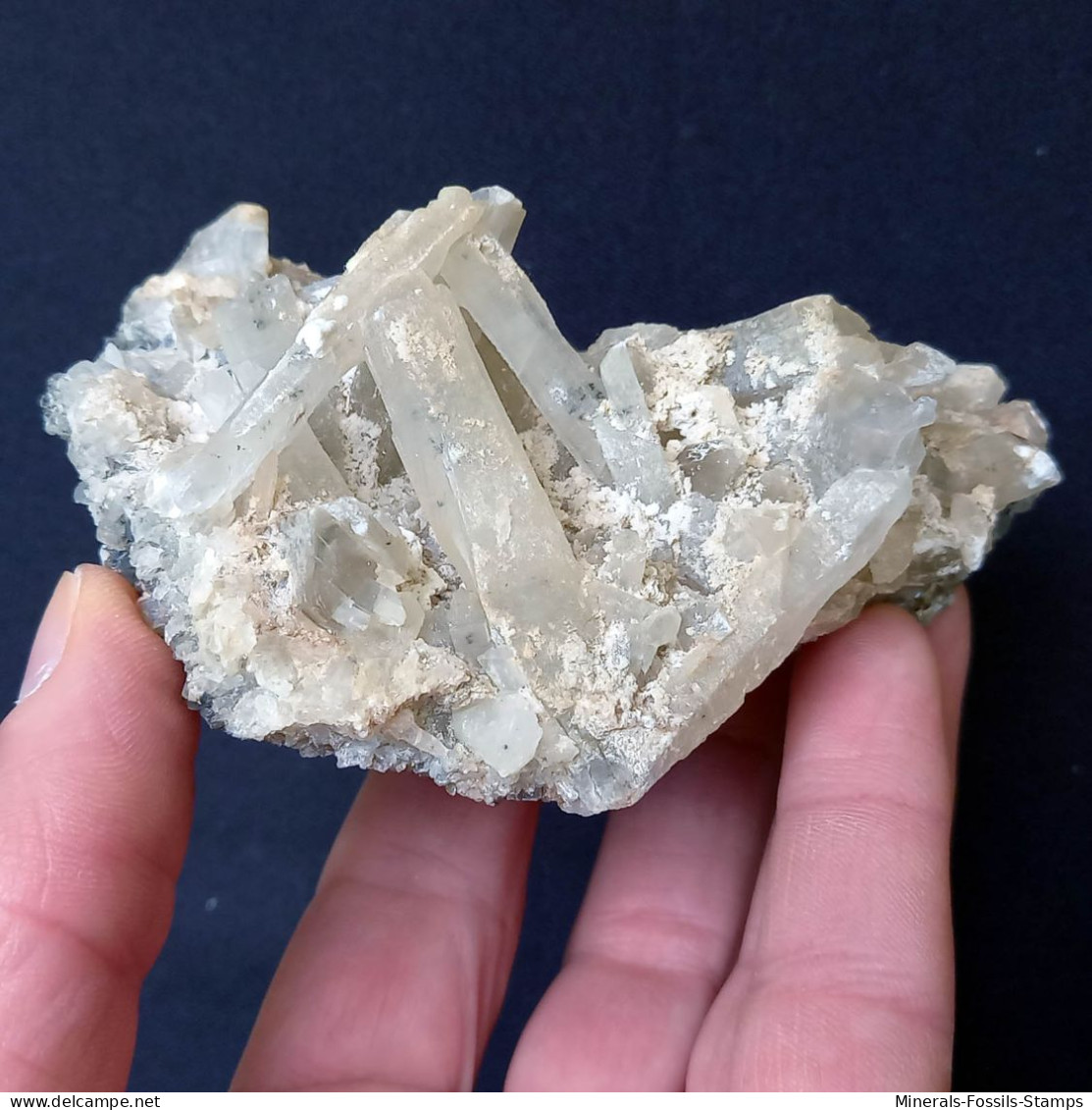 #C40 Schöne GIPS Kristalle (Floristella Mine, Enna, Sizilien, Italien) - Minerales