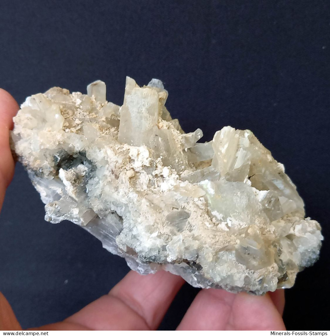 #C40 Schöne GIPS Kristalle (Floristella Mine, Enna, Sizilien, Italien) - Minerali