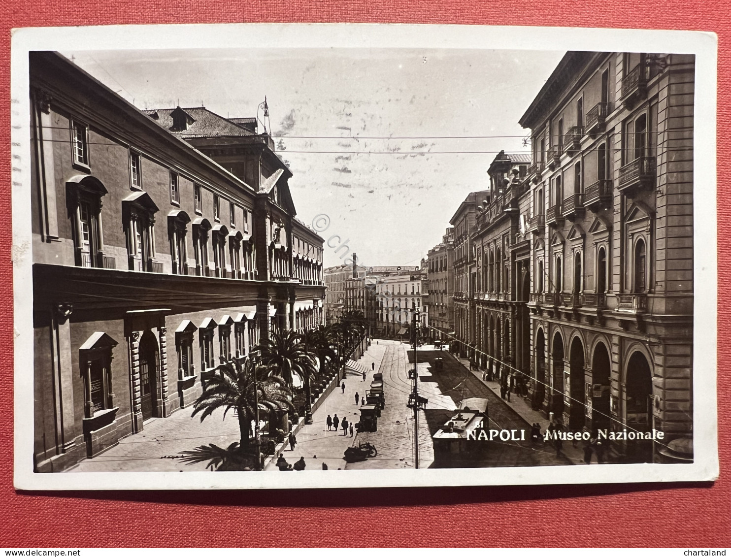 Cartolina - Napoli - Museo Nazionale - 1934 - Napoli