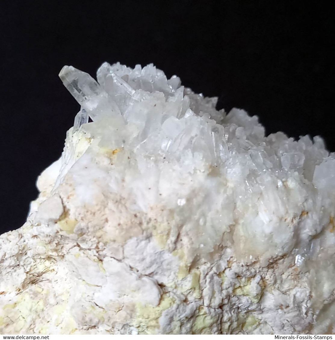 #C41 GIPS, COELESTIN Kristalle (Muculufa-Mine, Butera, Caltanissetta, Sizilien, Italien) - Minerals