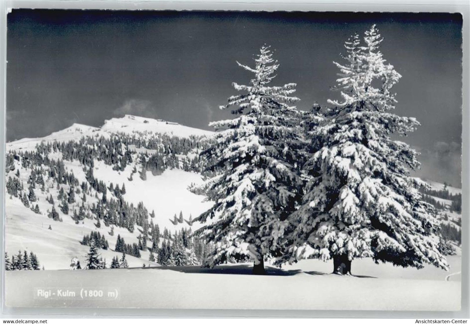 50438905 - Rigi Kulm - Autres & Non Classés