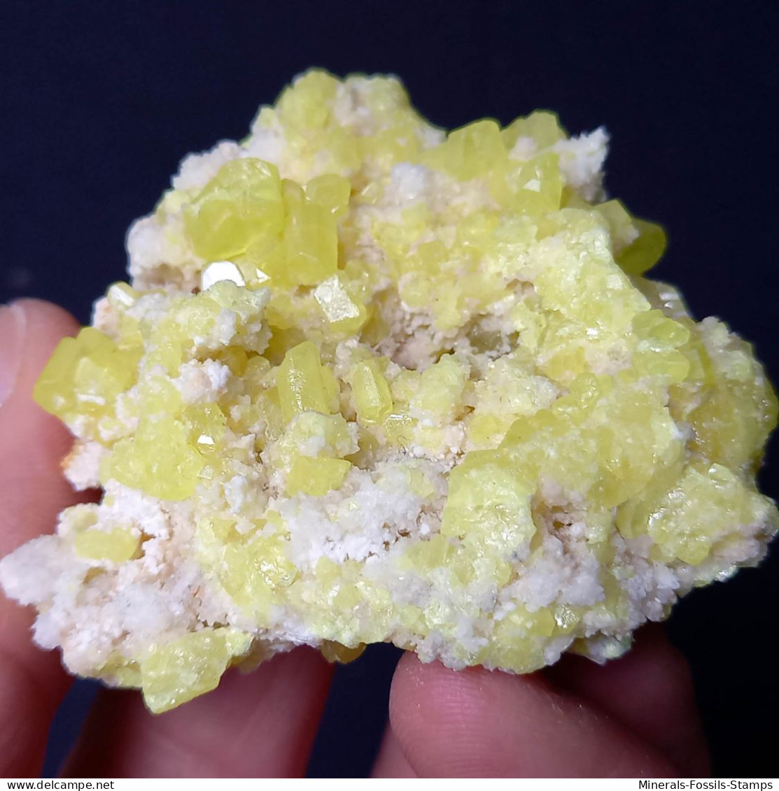 #C42 Wunderschöne SCHWEFEL Kristalle (Cozzodisi Mine, Casteltermini, Agrigento, Sizilien, Italien) - Minerals