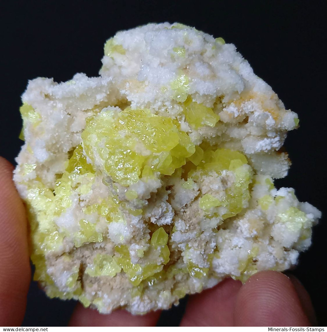 #C42 Wunderschöne SCHWEFEL Kristalle (Cozzodisi Mine, Casteltermini, Agrigento, Sizilien, Italien) - Minerals