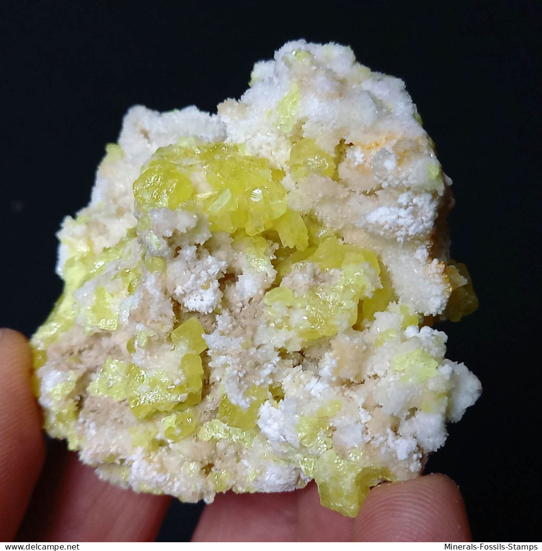 #C42 Wunderschöne SCHWEFEL Kristalle (Cozzodisi Mine, Casteltermini, Agrigento, Sizilien, Italien) - Minerales