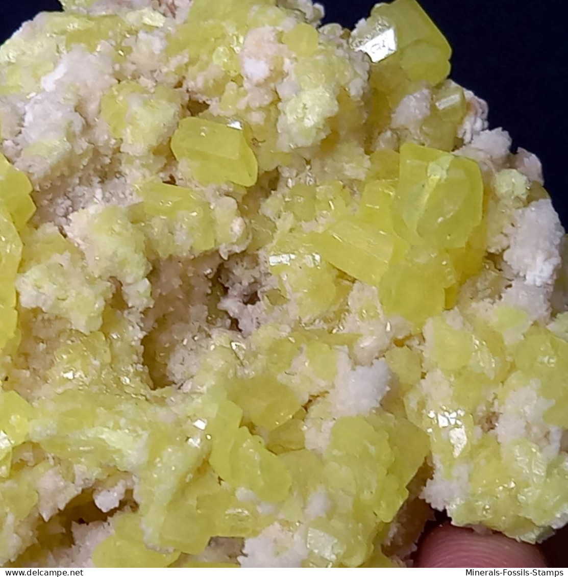 #C42 Wunderschöne SCHWEFEL Kristalle (Cozzodisi Mine, Casteltermini, Agrigento, Sizilien, Italien)