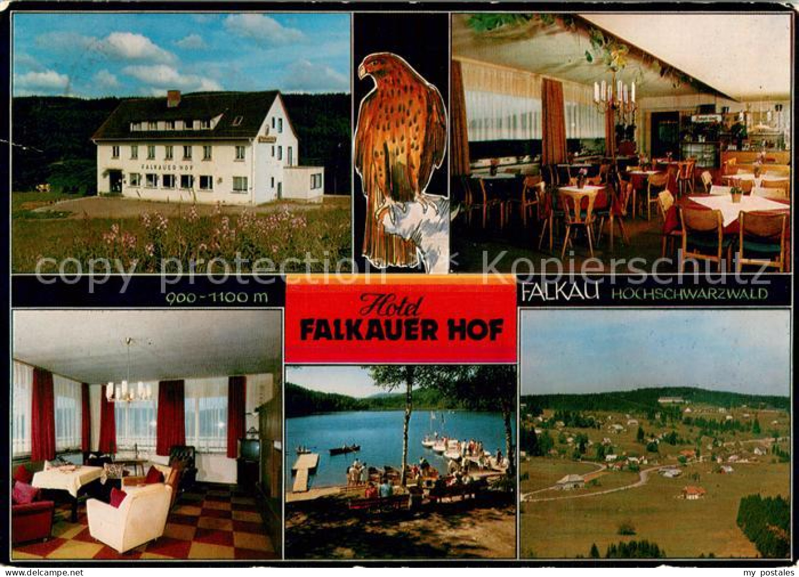 73751951 Falkau Hotel Falkauer Hof Gastraeume Titisee Fliegeraufnahme Falkau - Feldberg