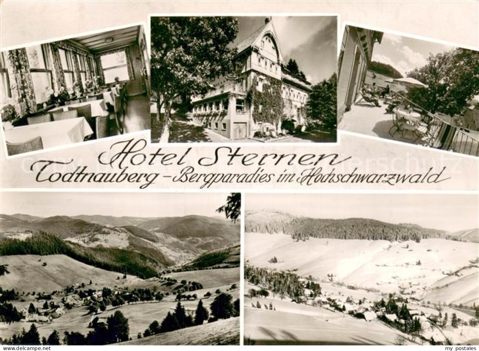 73751943 Todtnauberg Hotel Zum Sternen Gaststube Terrasse Schwarzwaldpanorama To - Todtnau