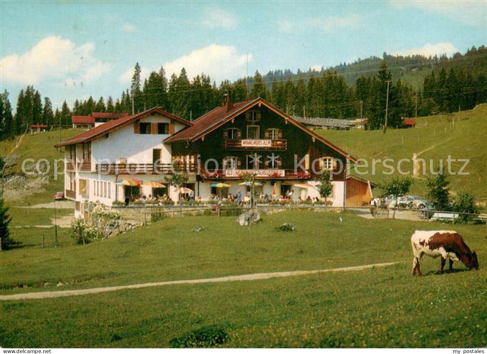 73751907 Reit Winkl Winklmoosalm Alpengasthof Augustiner Reit Winkl - Reit Im Winkl