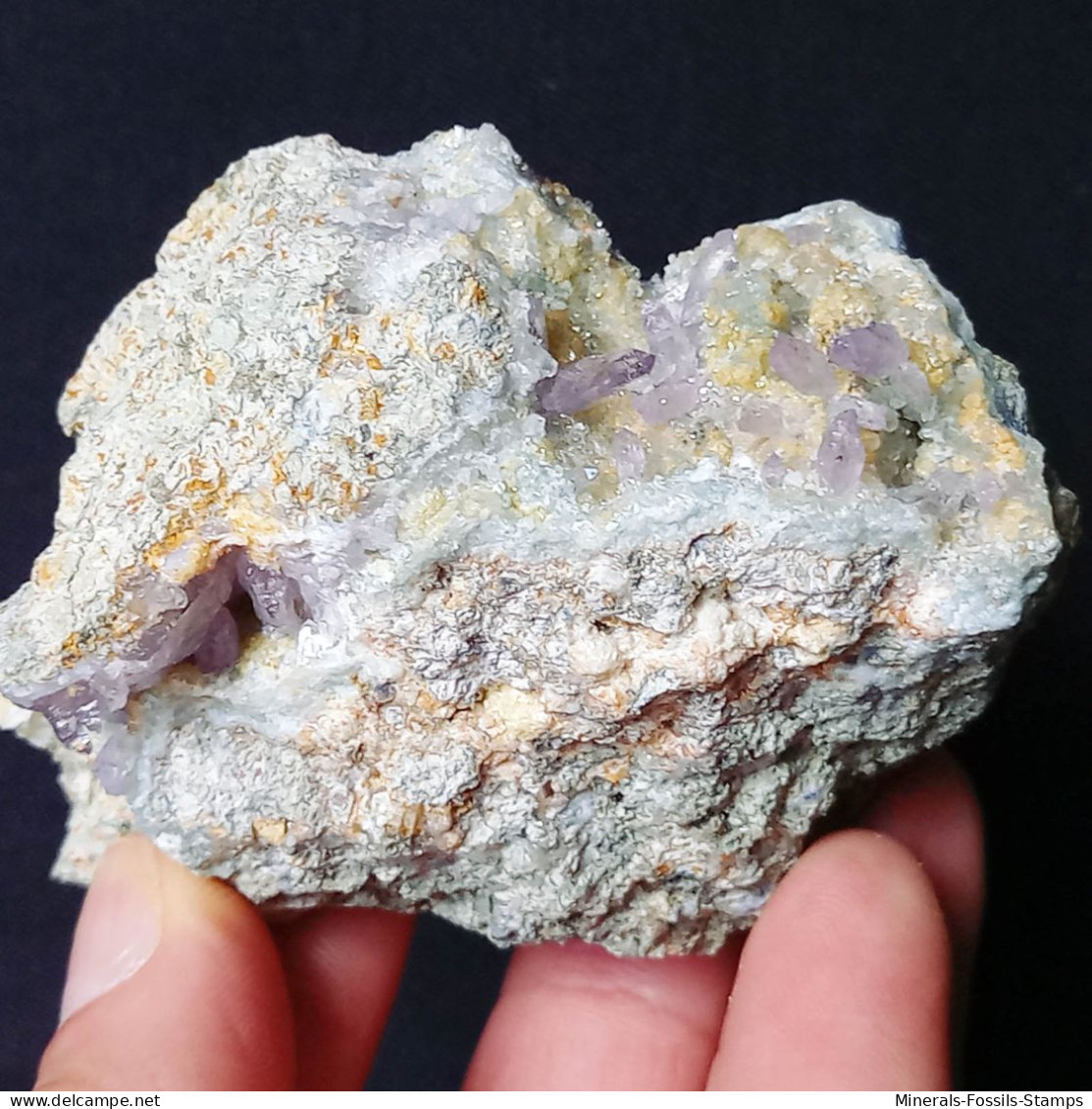 #C44 QUARZ Var. AMETHYST Kristalle (Capurru Quarry, Osilo, Sassari, Sardinien, Italien) - Minerales