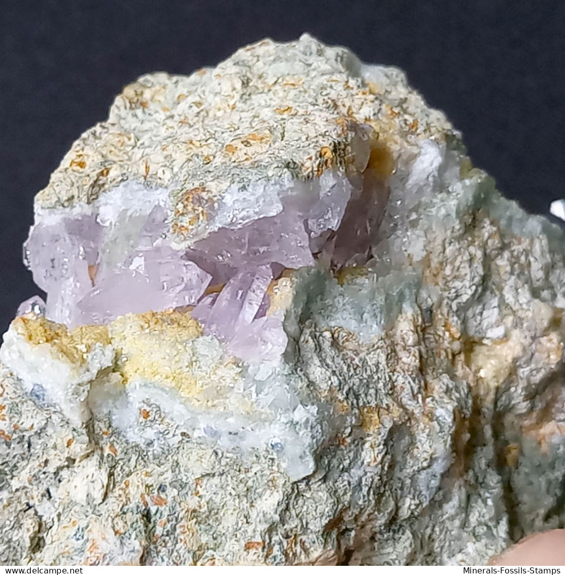 #C44 QUARZ Var. AMETHYST Kristalle (Capurru Quarry, Osilo, Sassari, Sardinien, Italien) - Minerali