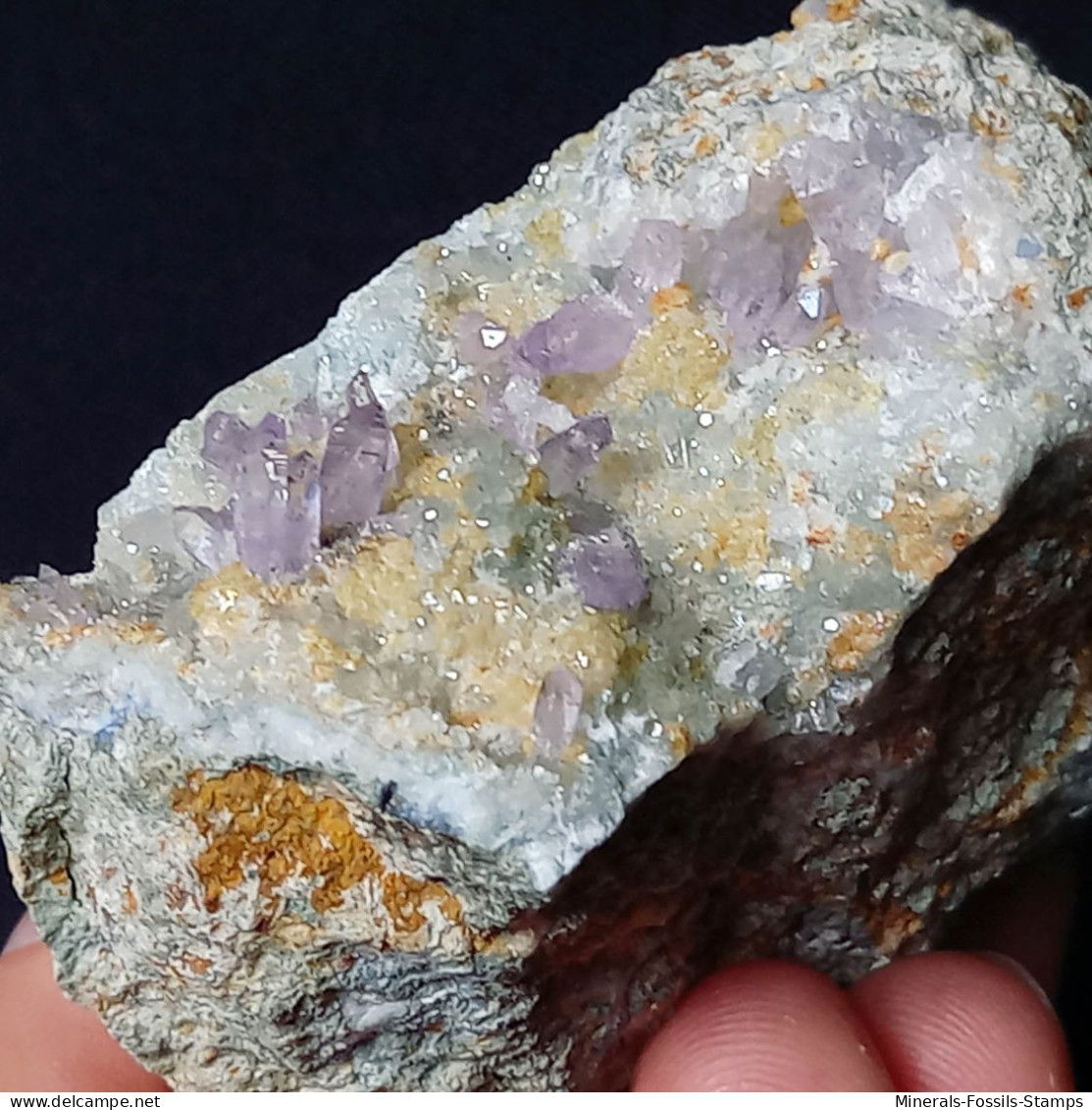 #C44 QUARZ Var. AMETHYST Kristalle (Capurru Quarry, Osilo, Sassari, Sardinien, Italien) - Minerali