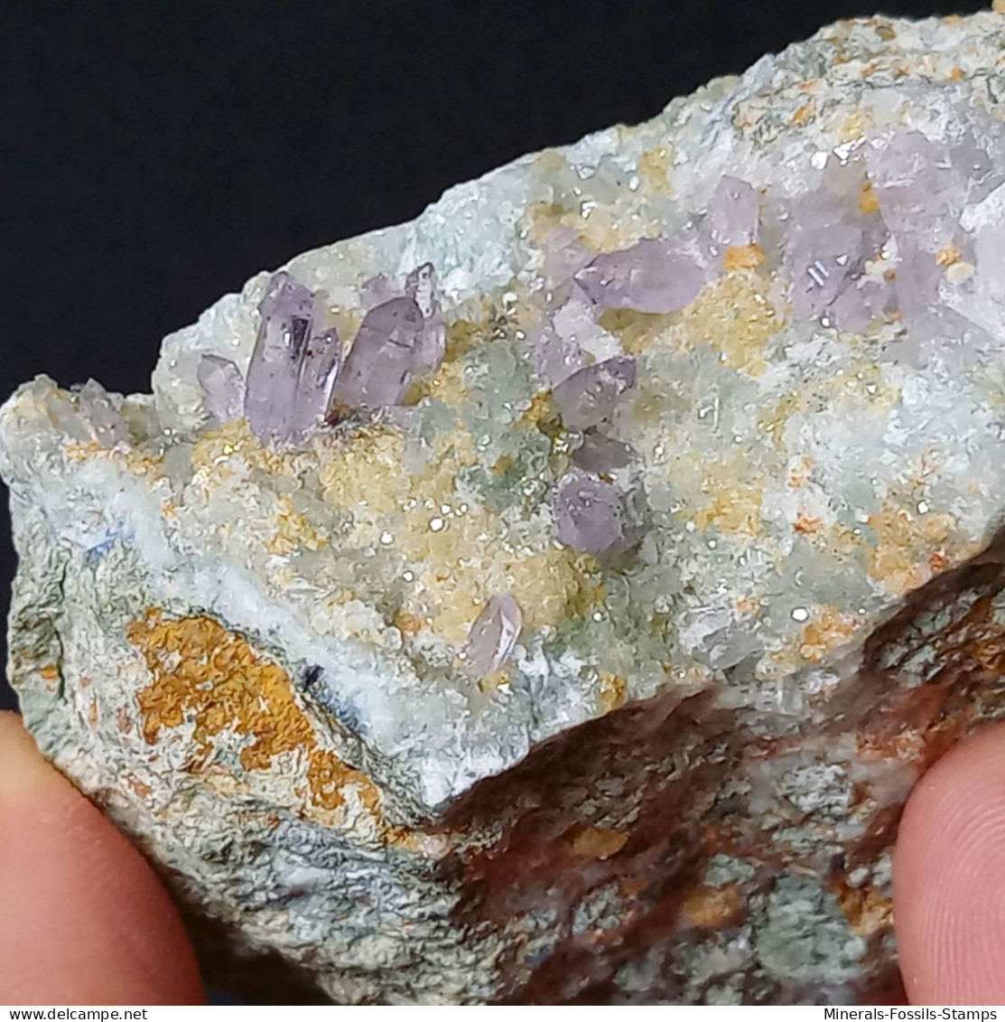 #C44 QUARZ Var. AMETHYST Kristalle (Capurru Quarry, Osilo, Sassari, Sardinien, Italien) - Minerales