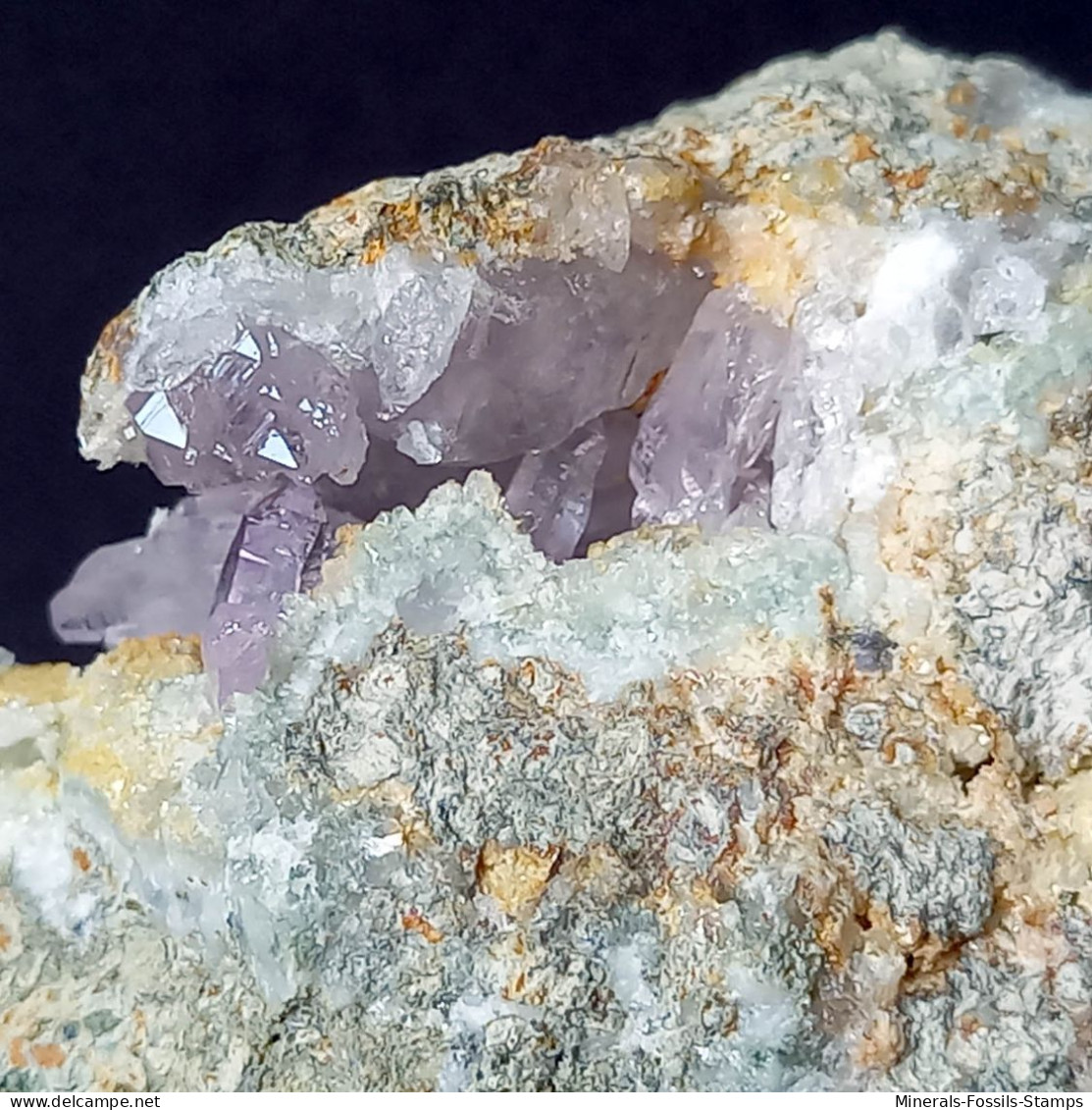 #C44 QUARZ var. AMETHYST Kristalle (Capurru quarry, Osilo, Sassari, Sardinien, Italien)