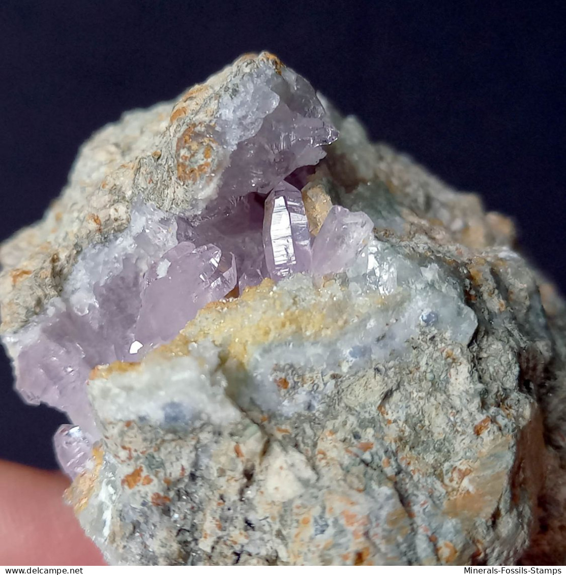 #C44 QUARZ var. AMETHYST Kristalle (Capurru quarry, Osilo, Sassari, Sardinien, Italien)