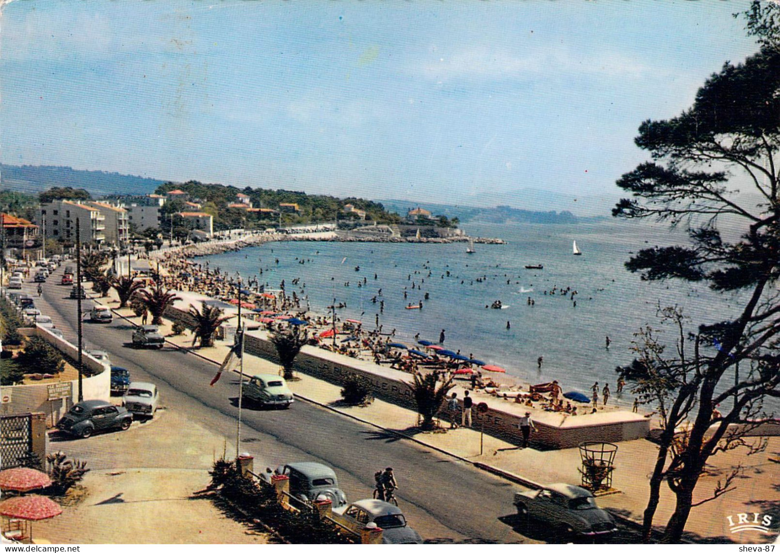 13 - La Ciotat - La Plage Vue De L'Hôtel Miramar - La Ciotat