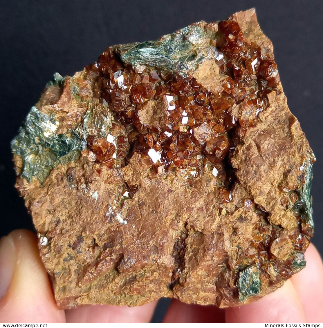 #D54 - Schöner Granat Var. HESSONIT XX (Valle Della Gava, Genua, Ligurien, Italien) - Mineralen