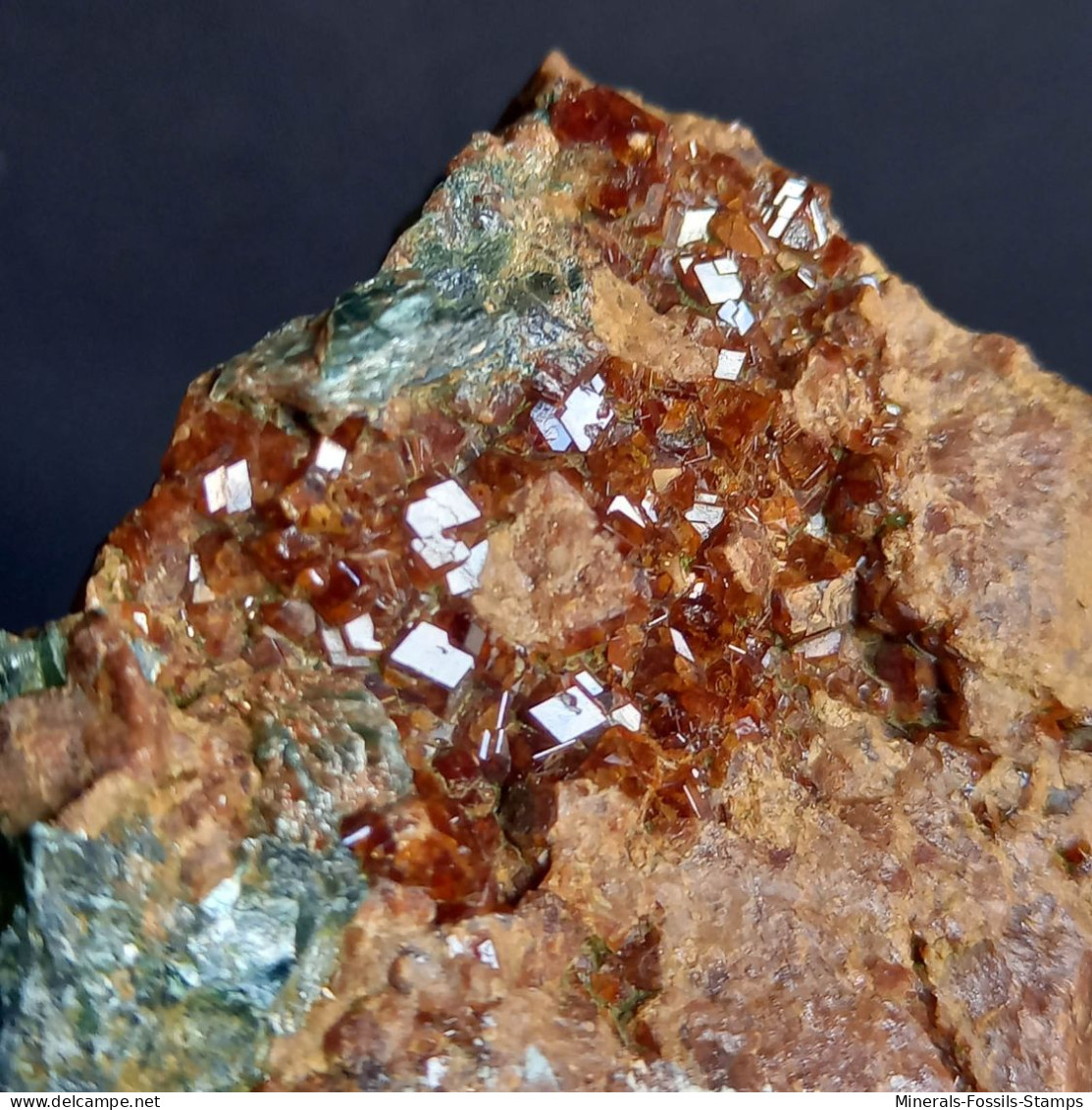 #D54 - Schöner Granat Var. HESSONIT XX (Valle Della Gava, Genua, Ligurien, Italien) - Minerales