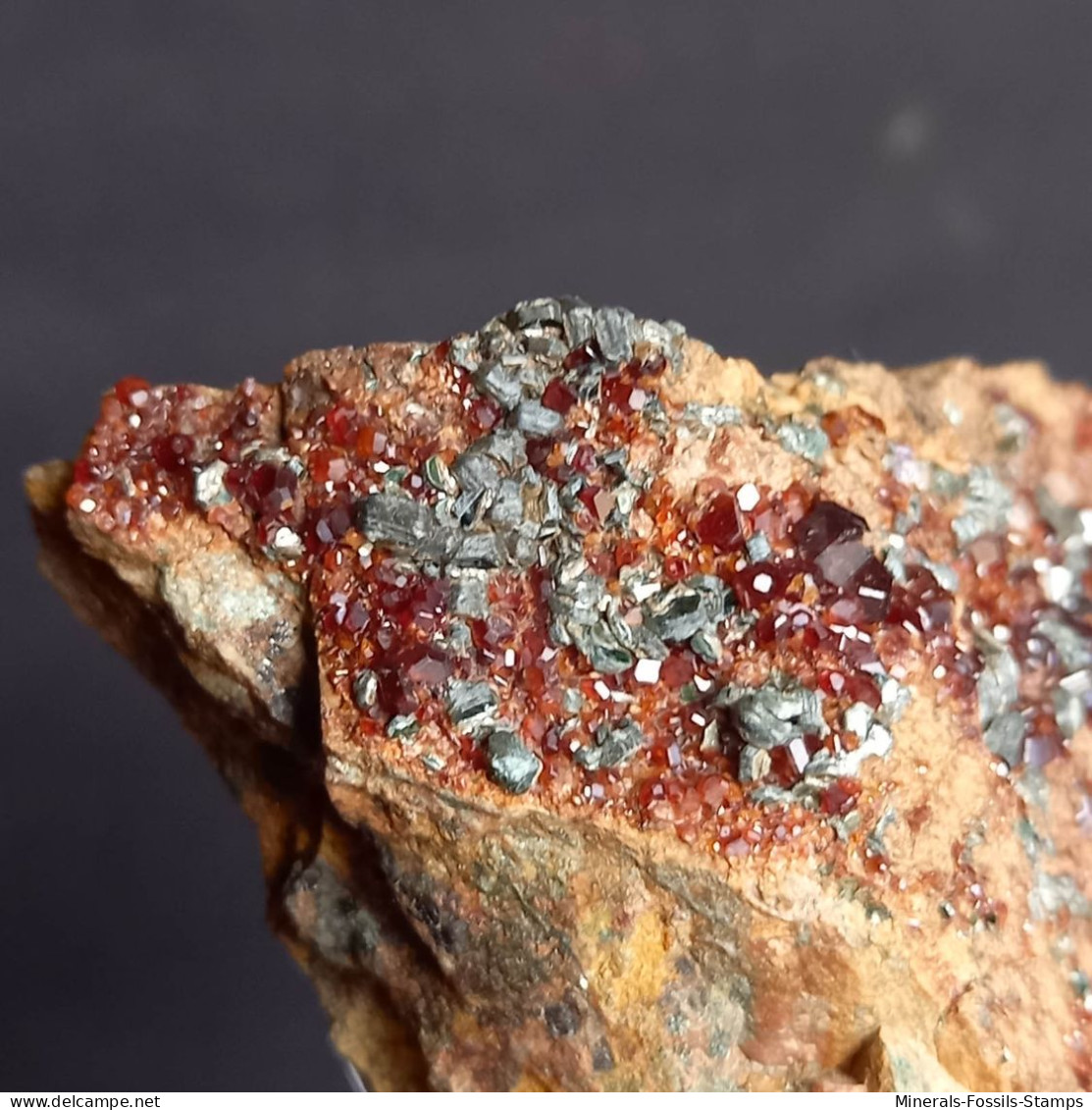 #D55 - Schöner Granat Var. HESSONIT XX (Bric Camulà, Lerca, Genua, Ligurien, Italien) - Mineralen