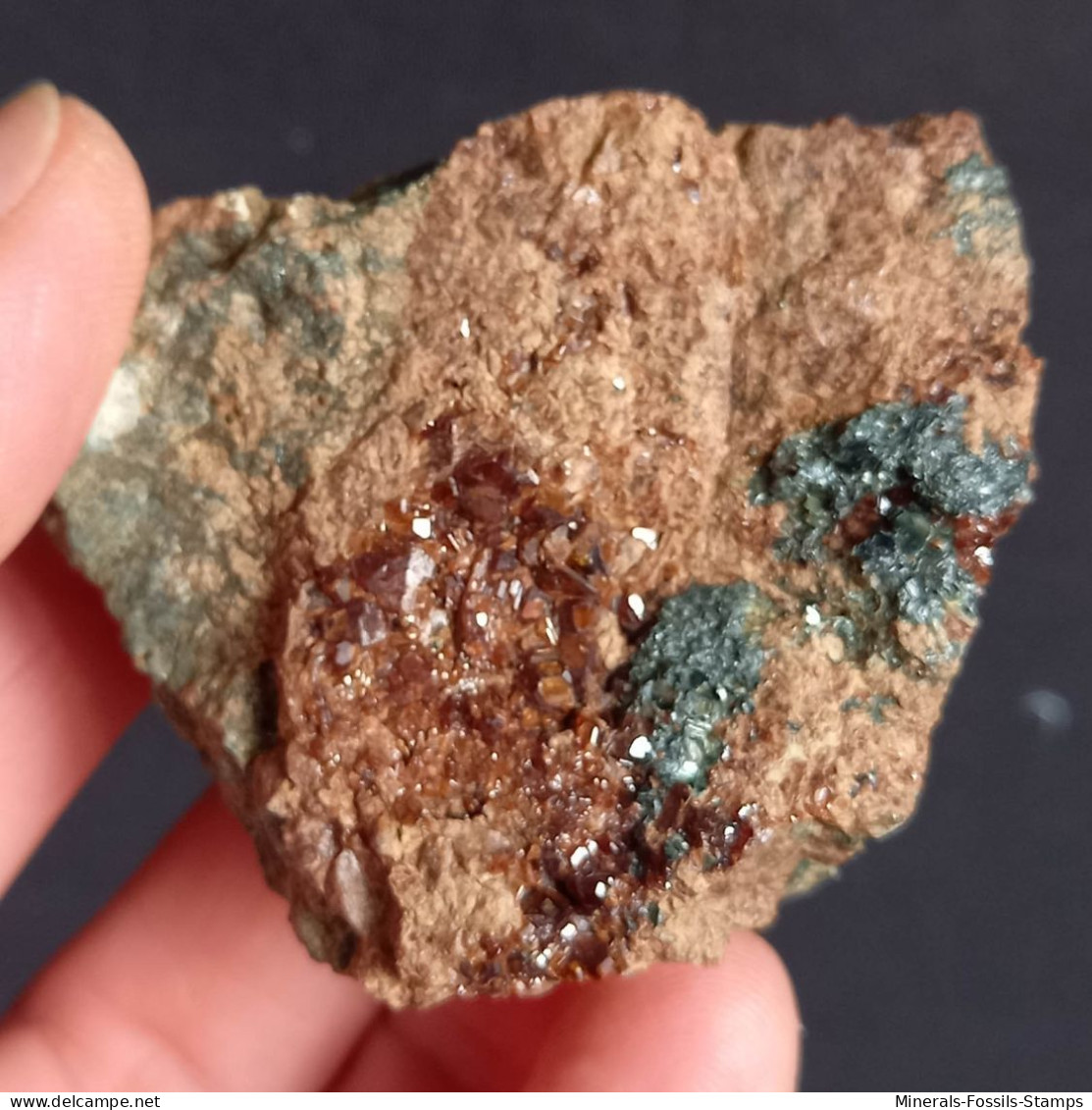 #D56 - Schöner Granat Var. HESSONIT XX (Valle Della Gava, Italien) - Minerales