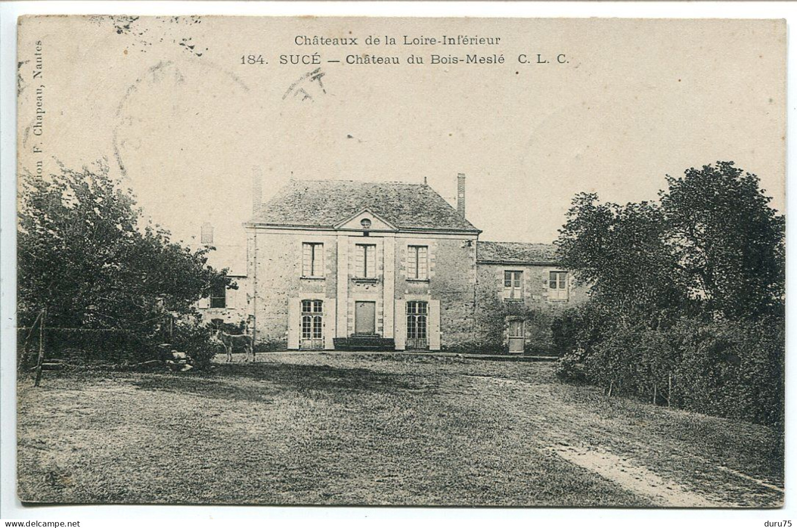 CPA Voyagé 1906  * SUCÉ ( Sur Erdre ) Château Du Bois Meslé * Collection F. Chapeau * C.L.C. - Andere & Zonder Classificatie