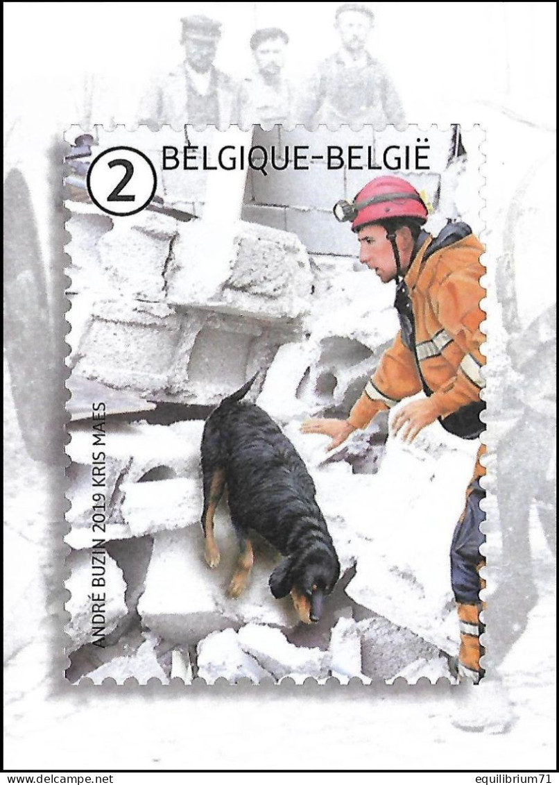 Cartes Maximum/Maximumkaart Blanco** - Les Animaux Au Travail / Dieren Aan Het Werk / Tiere Bei Der Arbeit - BUZIN - RR - 1985-.. Vögel (Buzin)