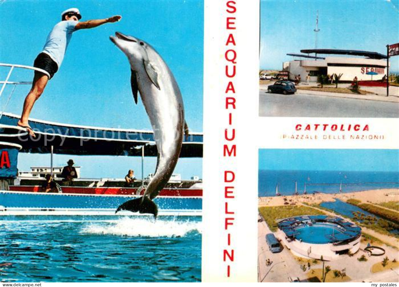 73751482 Cattolica  Provincia Rimini Delphin Seeaquarium  - Autres & Non Classés